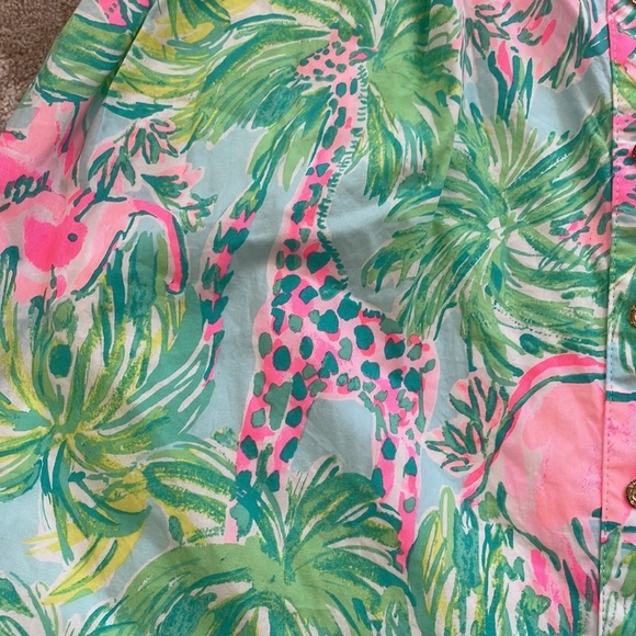 Lilly Pulitzer Pink and Green Easton Dress - Picture 10 of 15